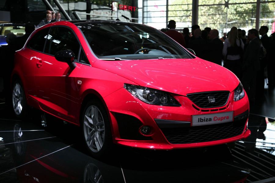  Seat Ibiza Cupra 2009 года  (фото 10 из 84)